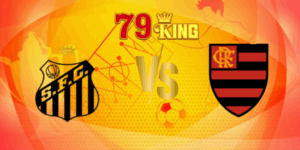 nhan dinh santos vs flamengo 6